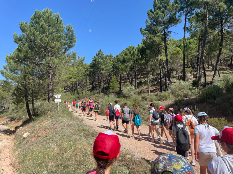Pinar de Amurjo 4